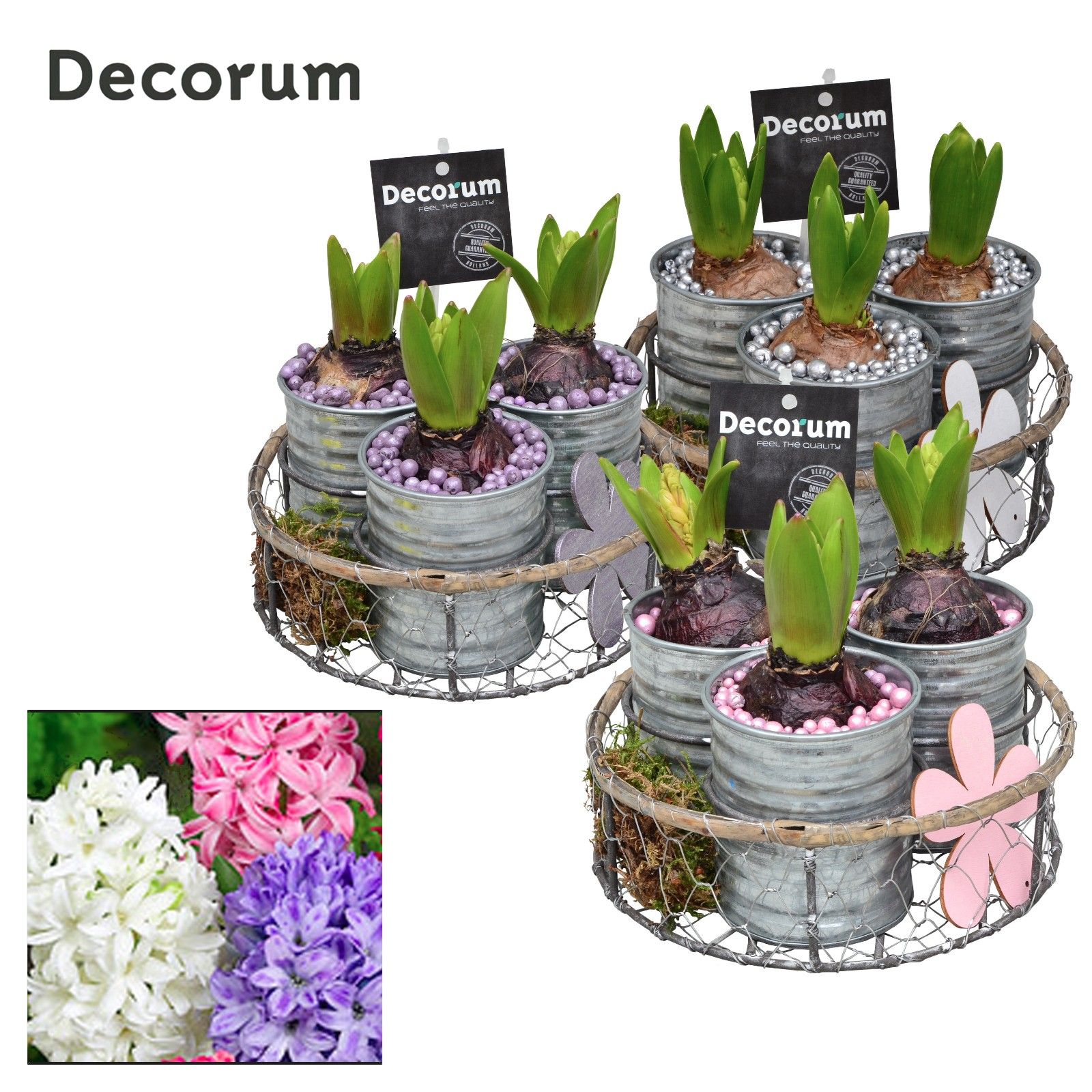 Hyacint Brocante Zink HL19680 [LOVELY COLORS], D 17