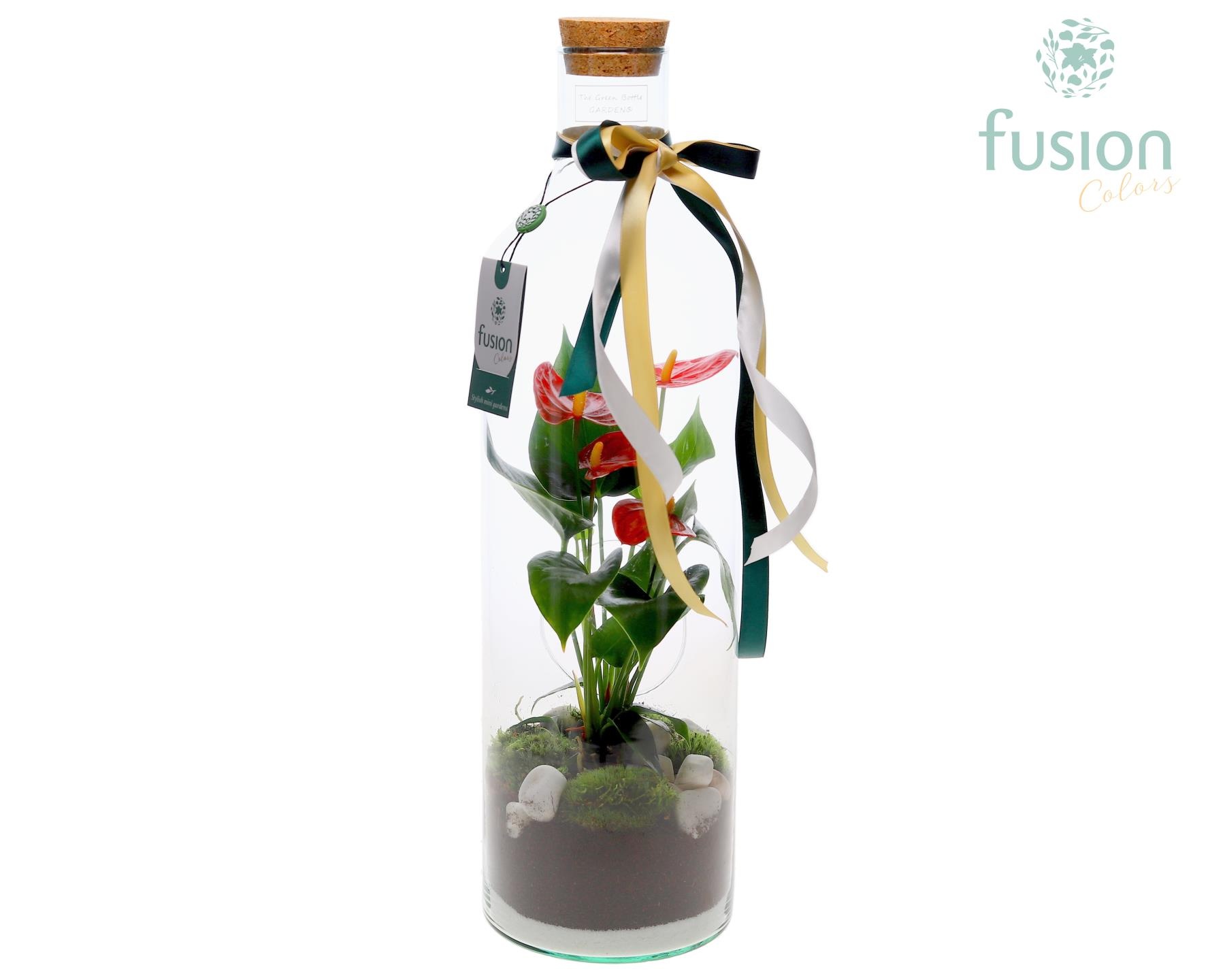 Green Bottle Fles Large Kerst met Anthurium, D 15
