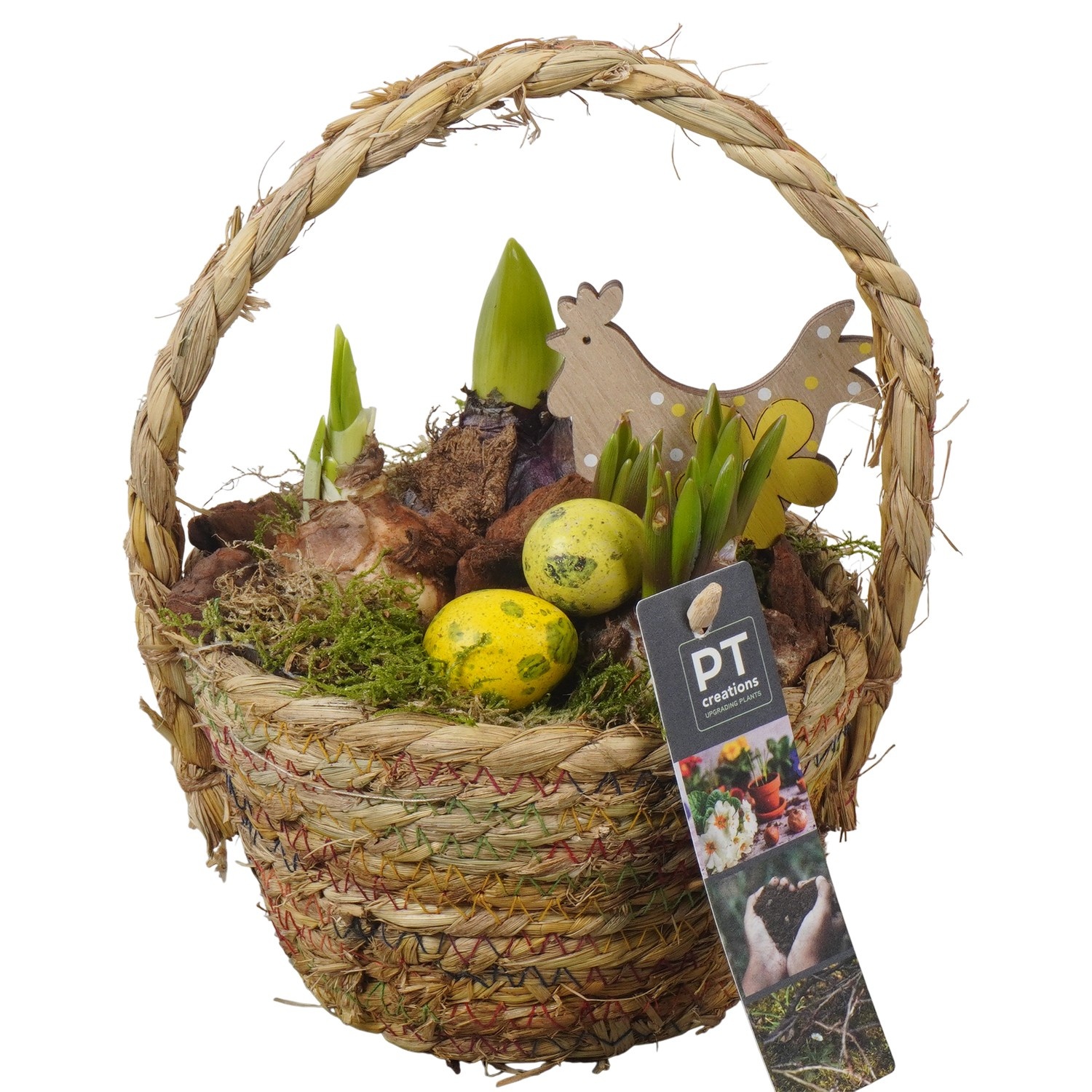 PTBMP5676 Arrangement Easter Bulbs Mix in rieten mand, D 15
