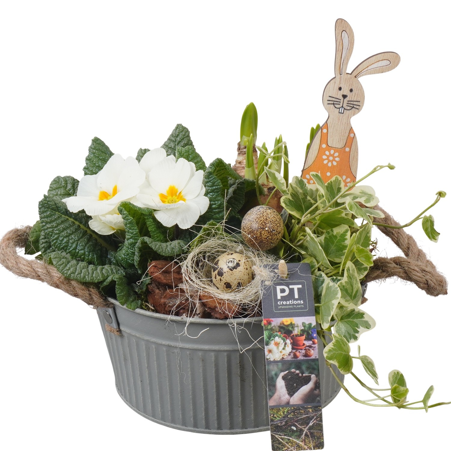 PTBMP5671 Arrangement Easter Bulbs Mix in zink pot, D 19