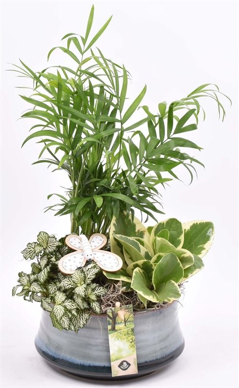 Keramiek schaal blauw/grijs 18cm, D 19