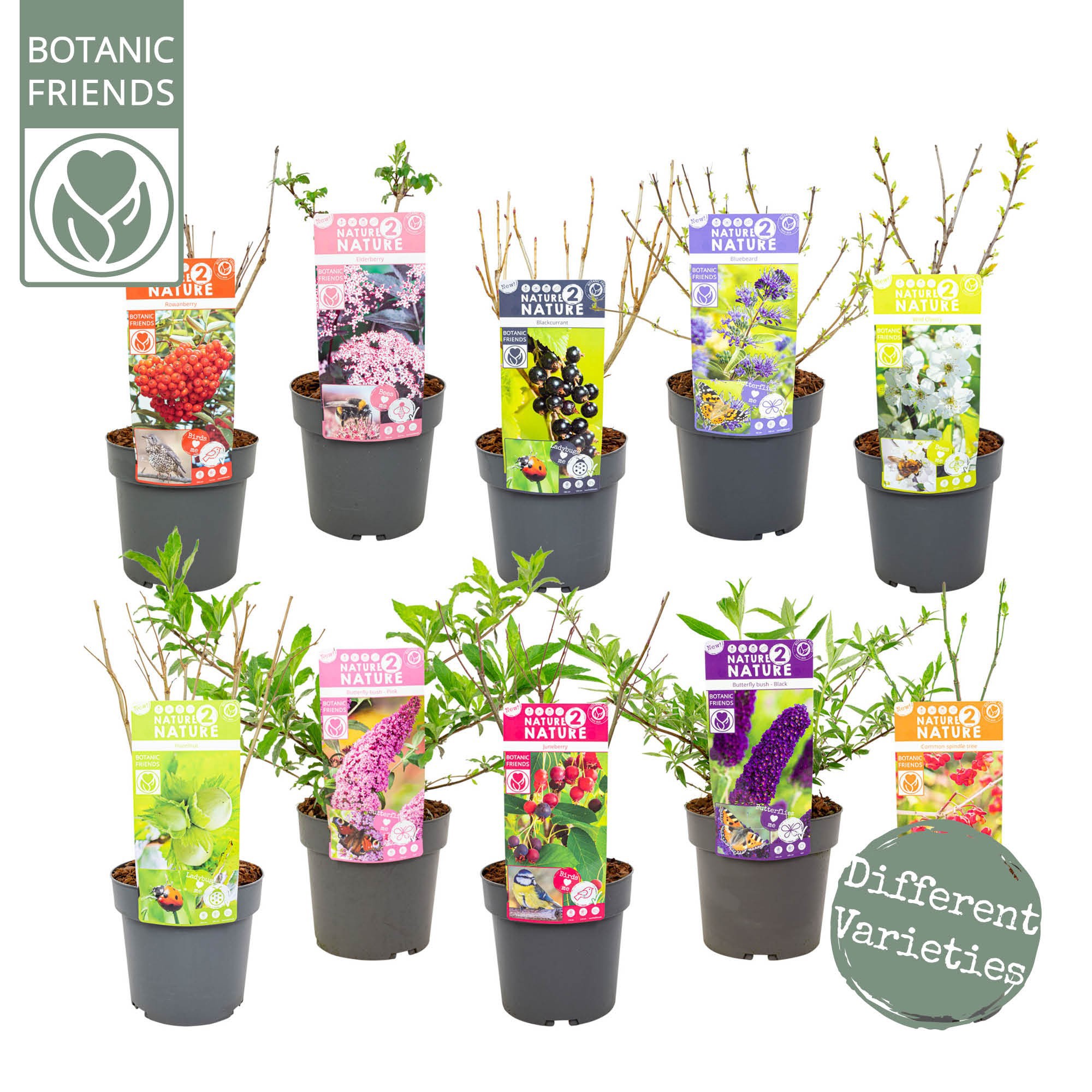 NATURE 2 NATURE - Mix, D 19