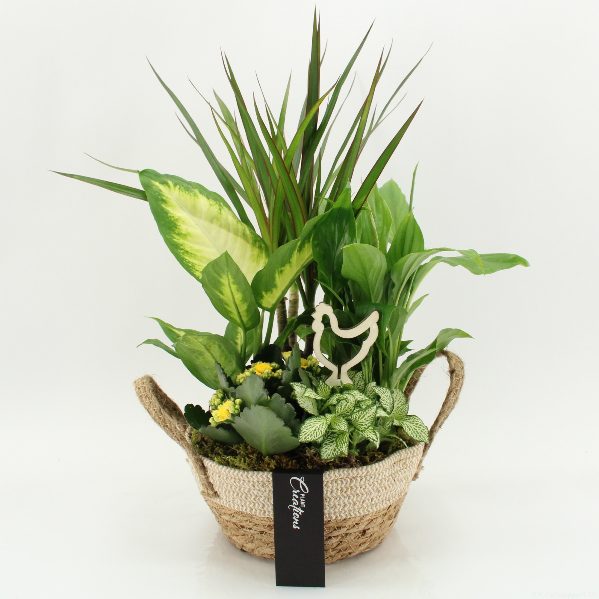 FDPS-2619 Easter Fundamentals, D 21