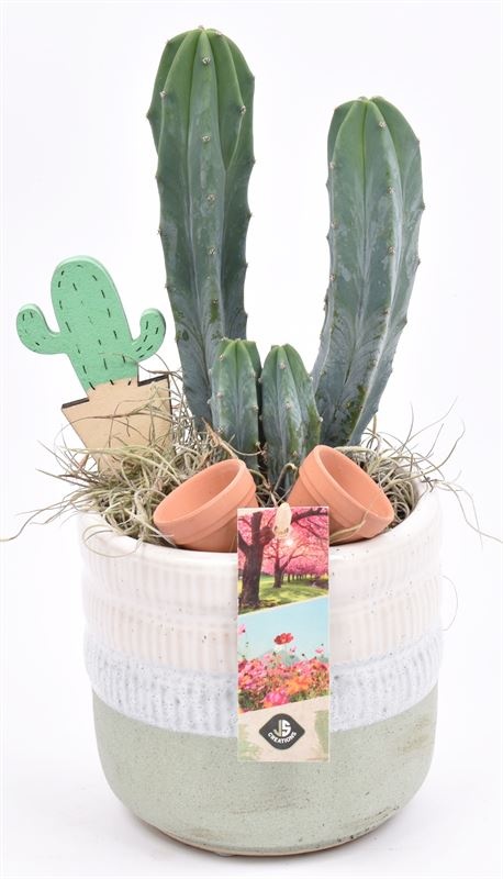 Keramiek pot wit/gr 12cm, D 12