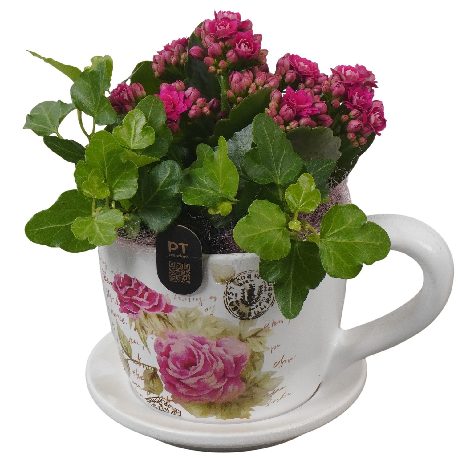 PTIB5199 Arrangement Indoor in keramiek kop en schotel, D 11