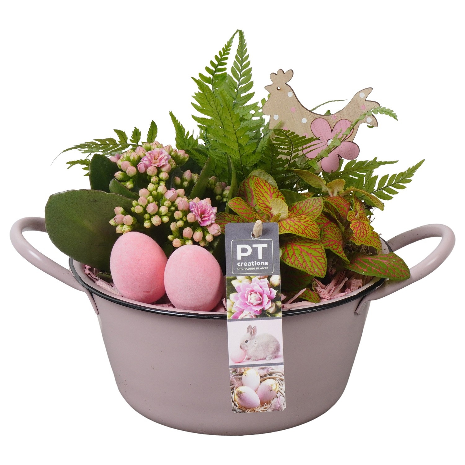 PTPB6422 Arrangement Easter in zink schaal, D 19