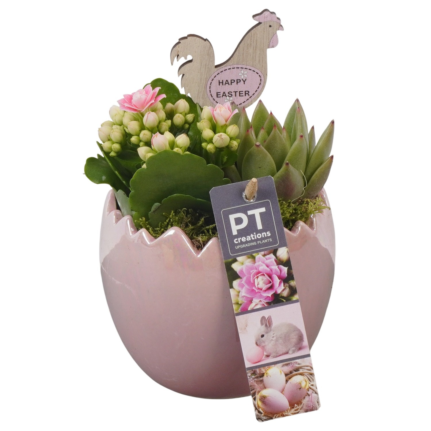 PTPB6480 Arrangement Easter in keramiek ei, D 11