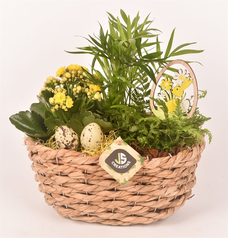 Maisblad gevl. ovaal 24x15cm, D 24