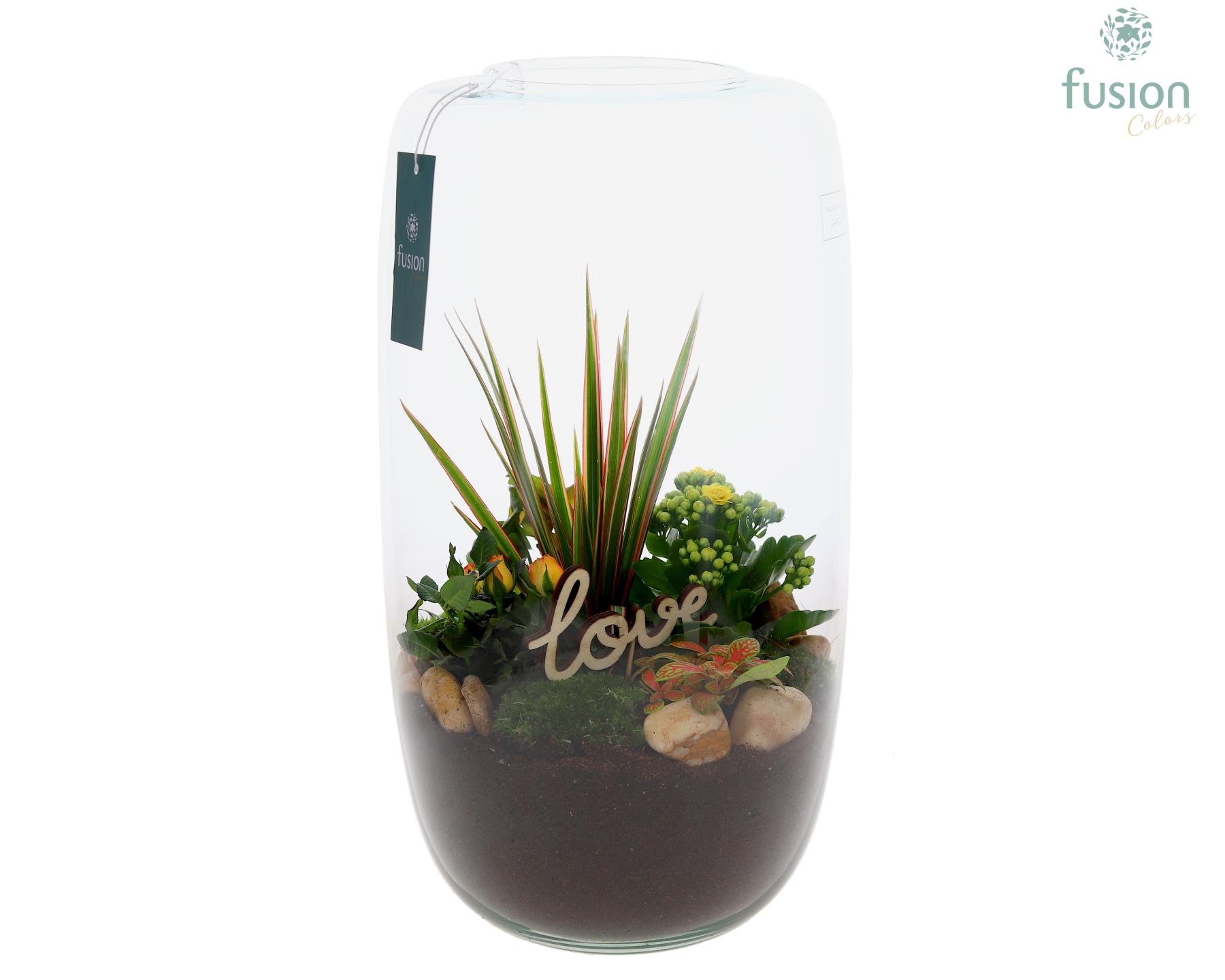 Green Bottle Isabella XXLarge Love met arrangement, D 23