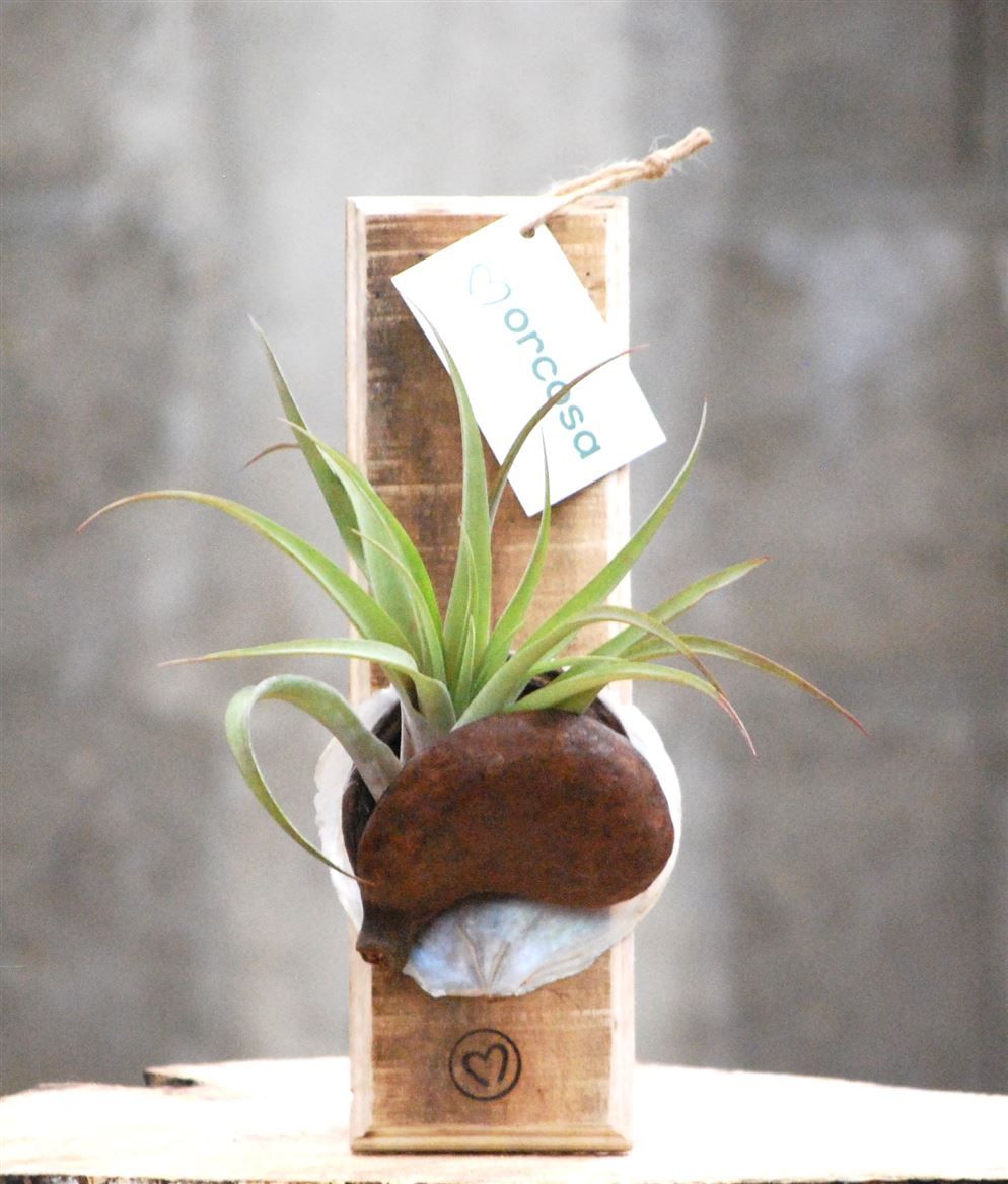 Pendant Buddha de Luxe, D 25 cm