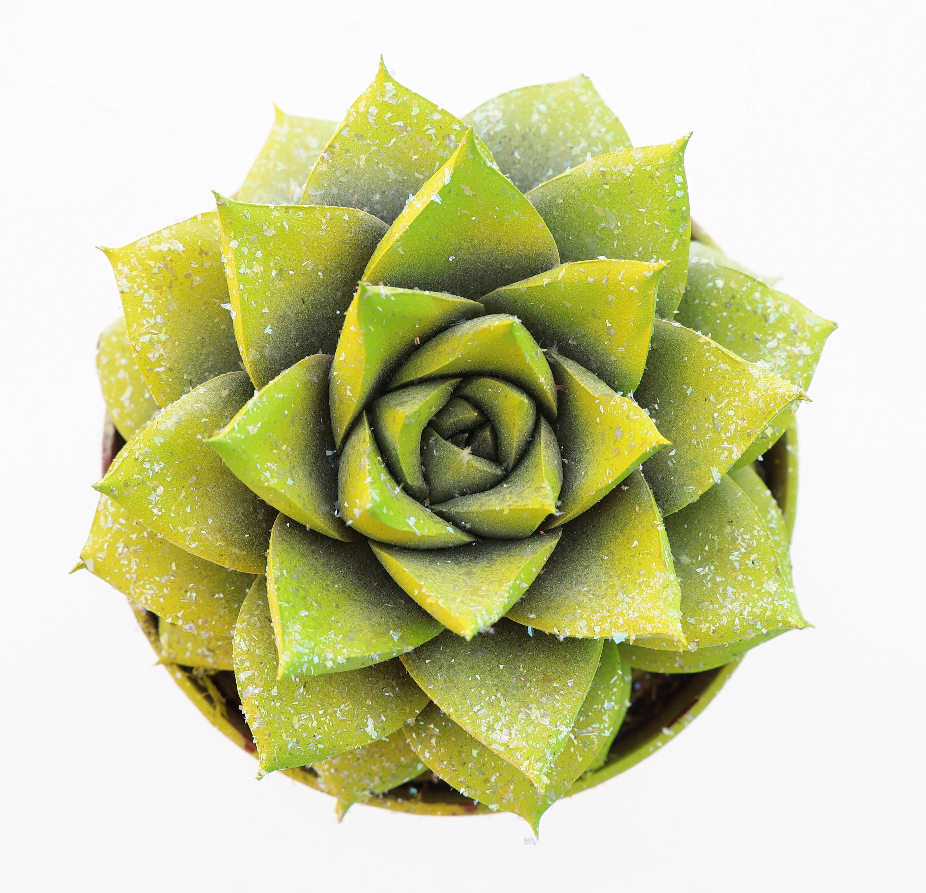 Purper easter multi glittermix, D 8,5