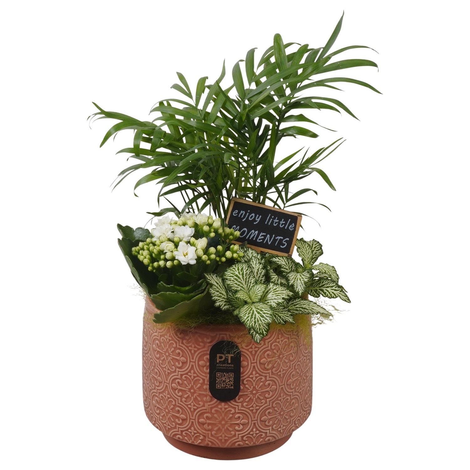 PTIB5182 Arrangement Indoor in keramiek pot, D 14