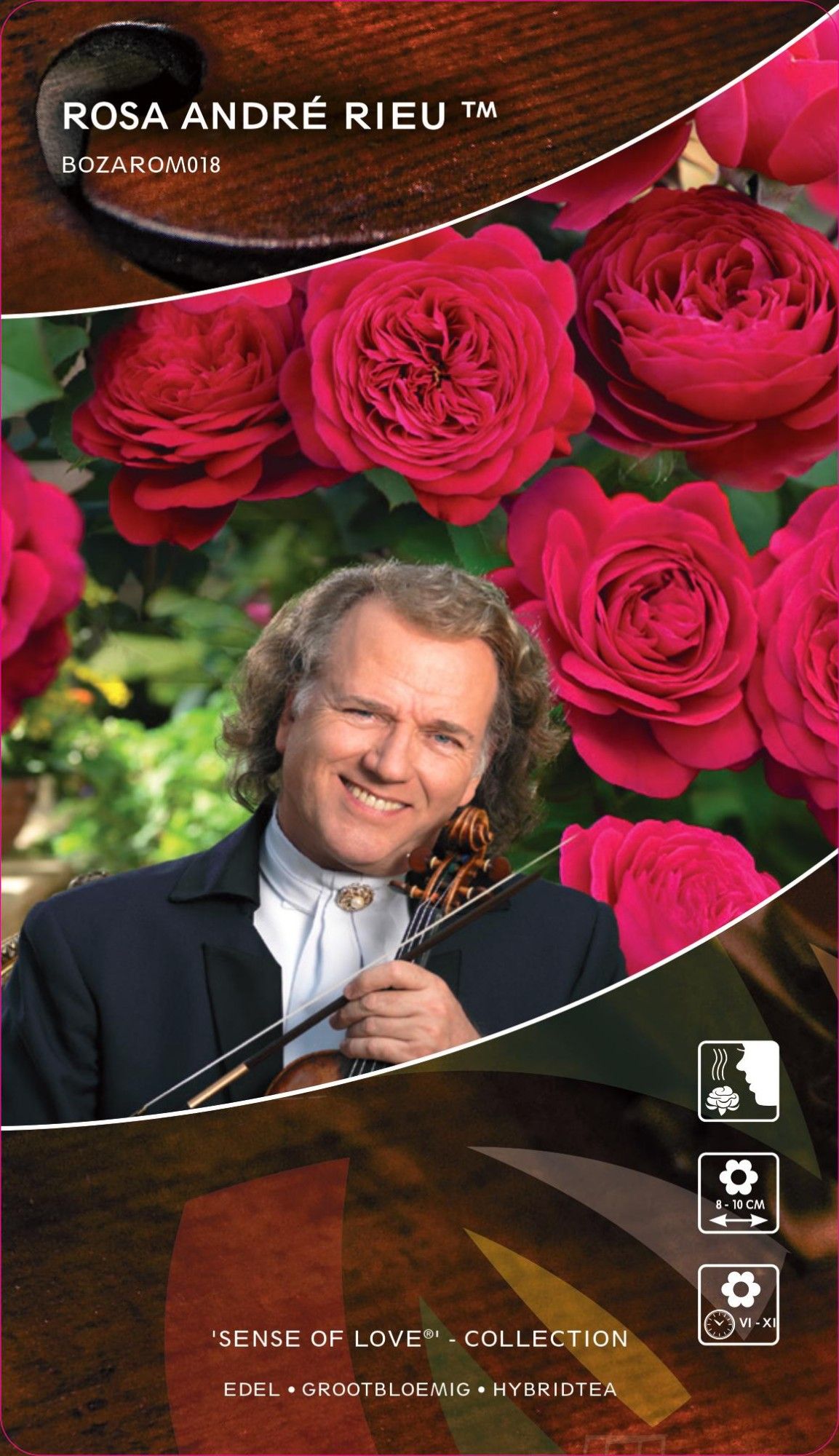Rosa (TH) André Rieu™ Sense of Love Collection, D 17