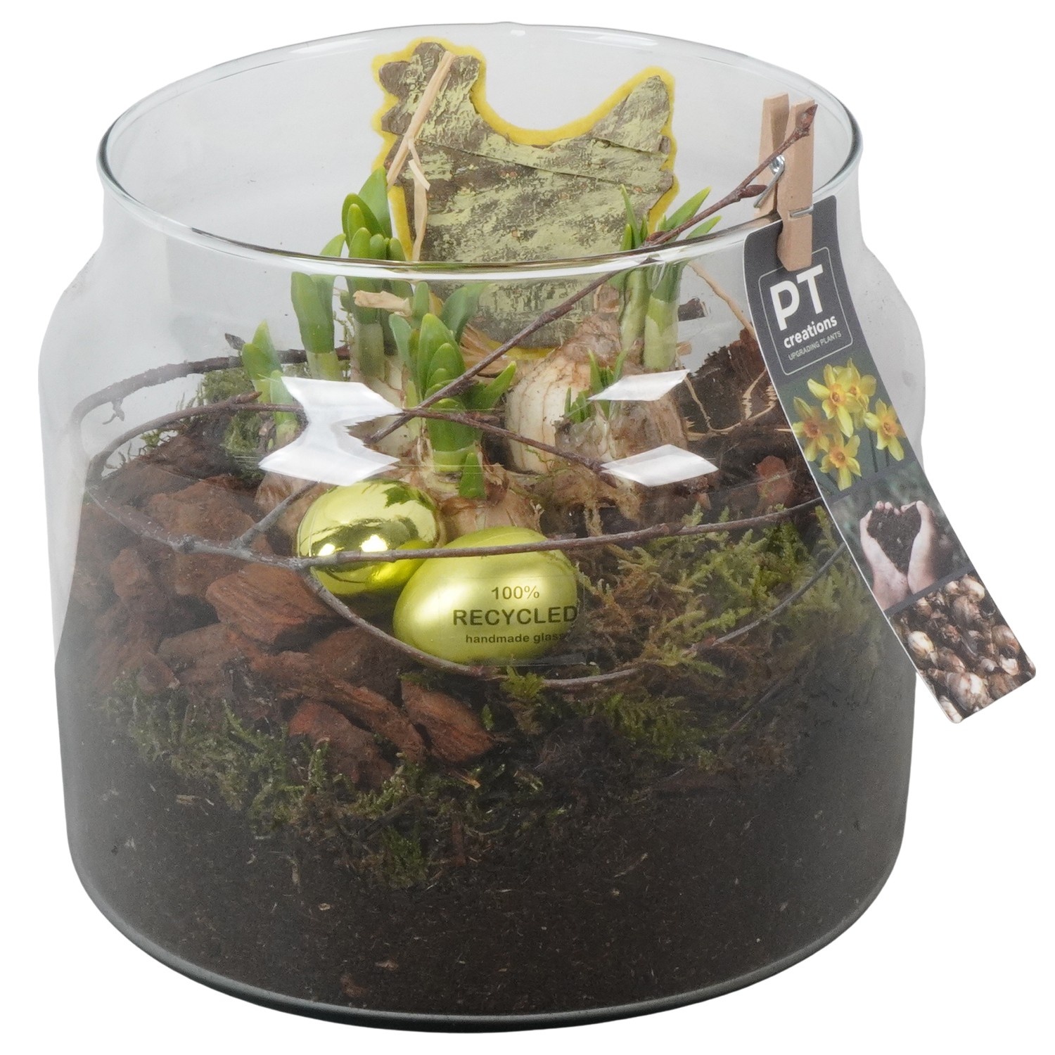 PTNP4527 Arrangement Narcissus Easter in glazen vaas, D 19