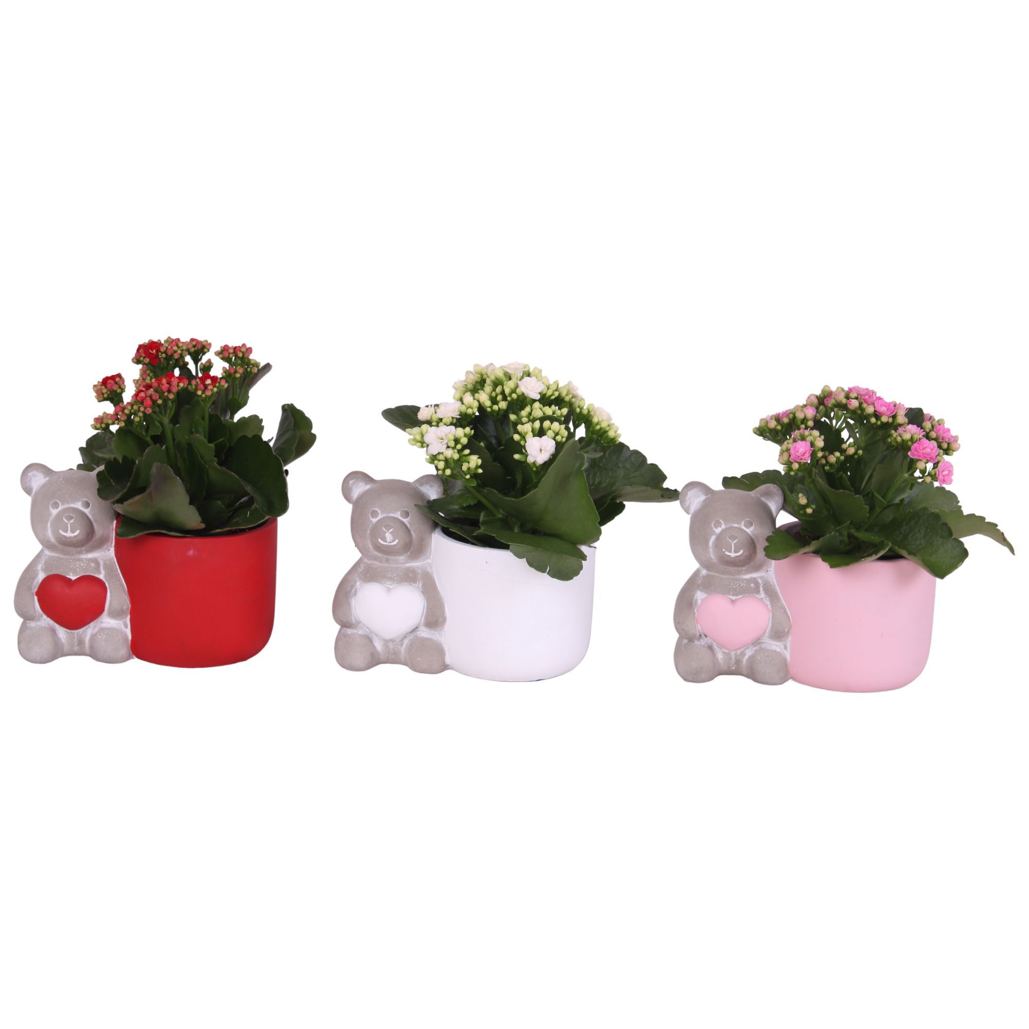 Valentine Arr. Indoor Ceramic Lovebearpot Heart Ø17cm 1PP, D 17