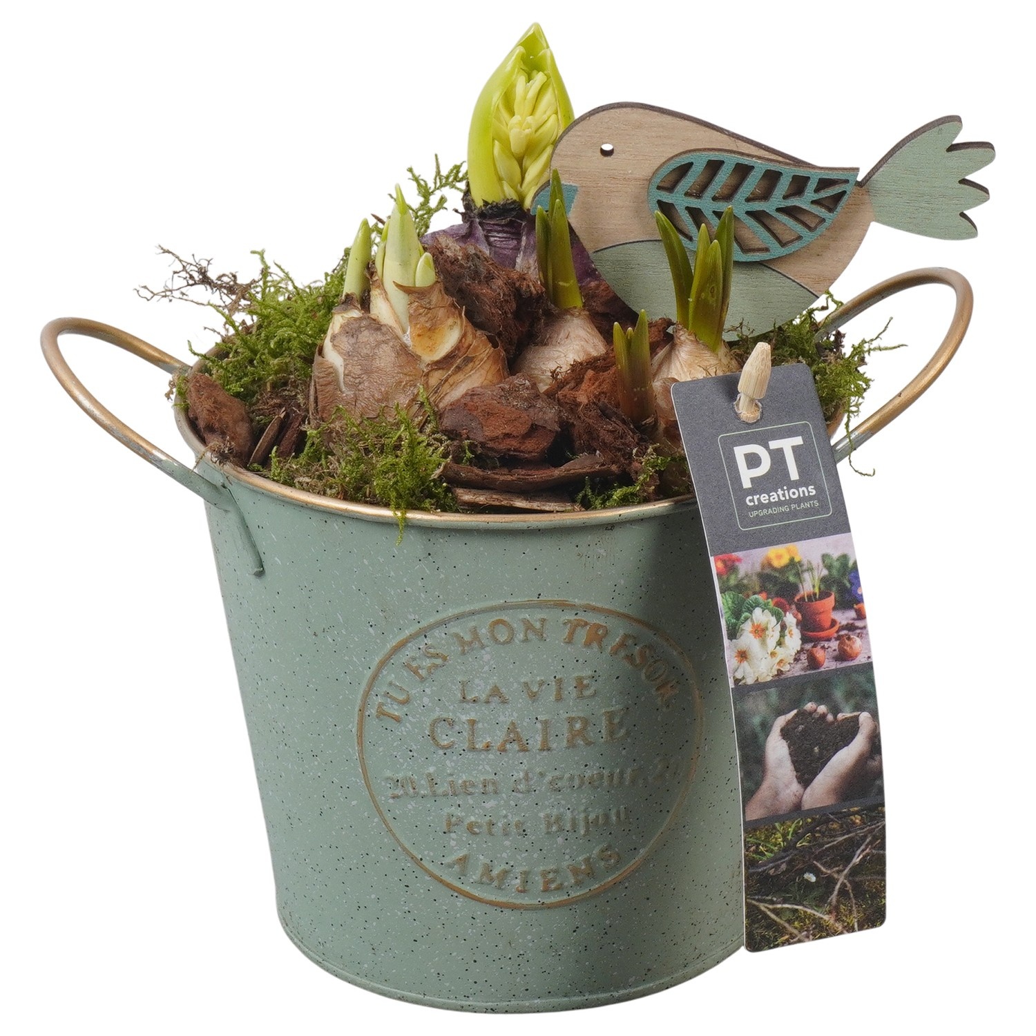 PTBM3746 Arrangement Flower Bulbs Mix in metalen pot, D 13