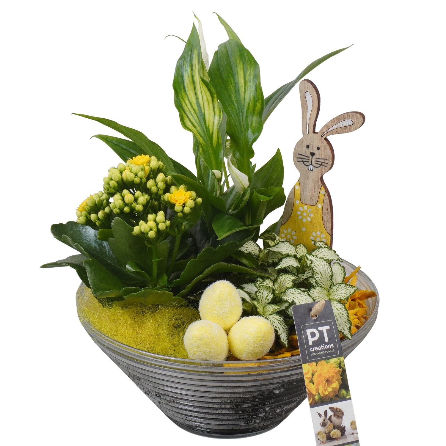 PTPG9352 Arrangement Easter in glasschaal, D 19