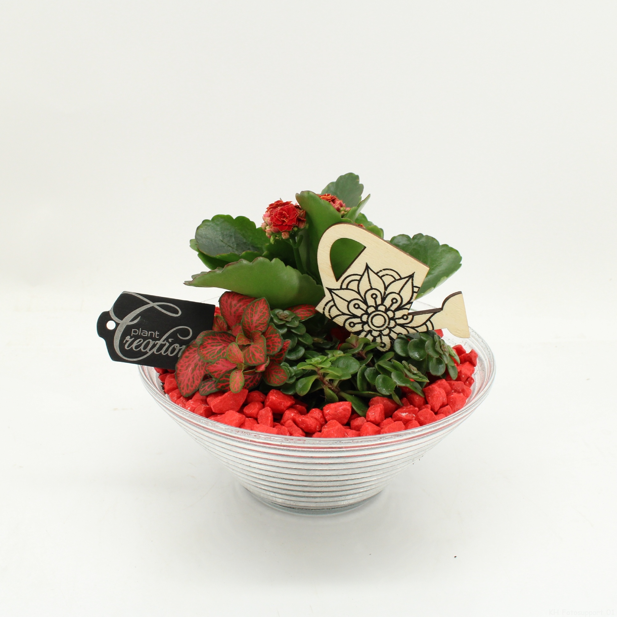 FDCR-2601R Basic Fundamentals, D 20