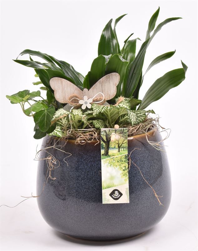 Keramiek bol pot 16.5cm, D 16