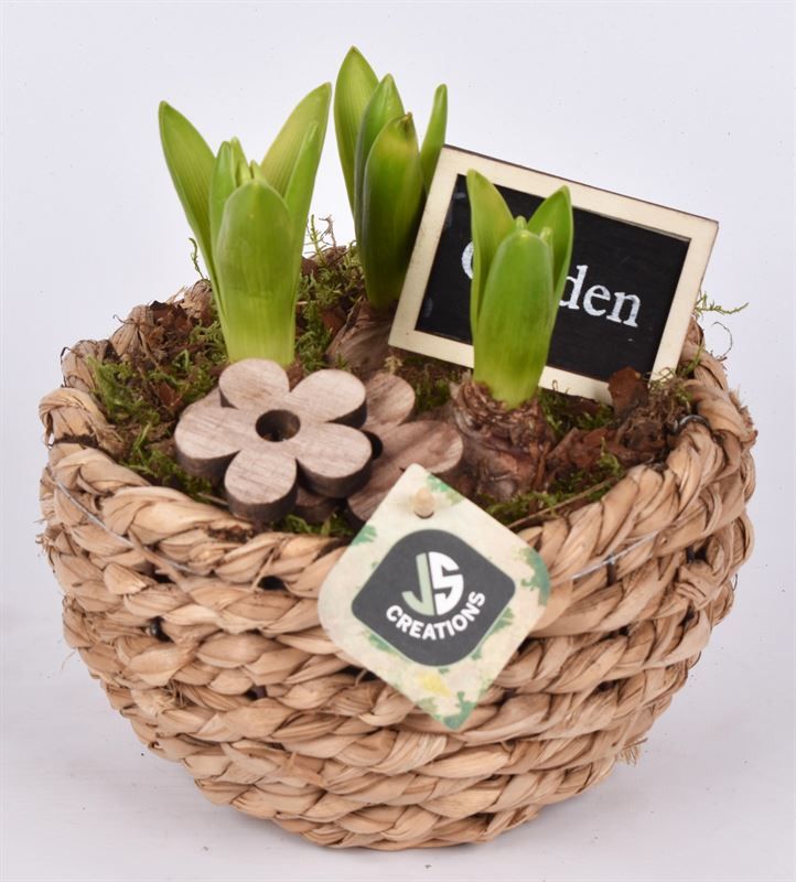 Mais mand 18cm, D 18