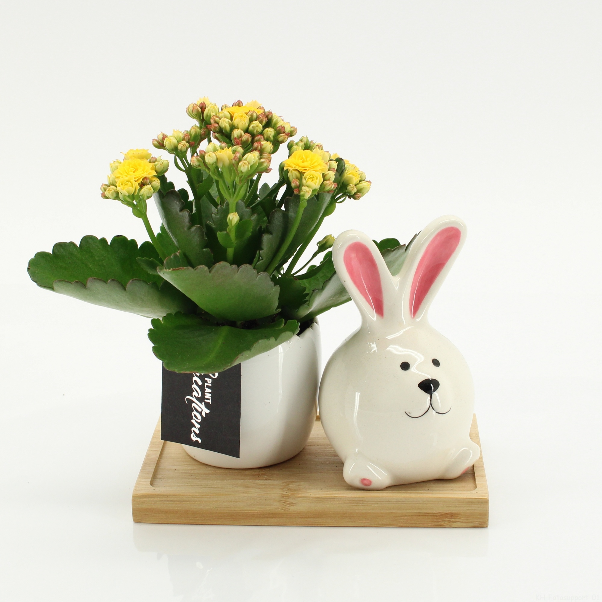 PSCR-2603G Easter Essentials, D 15