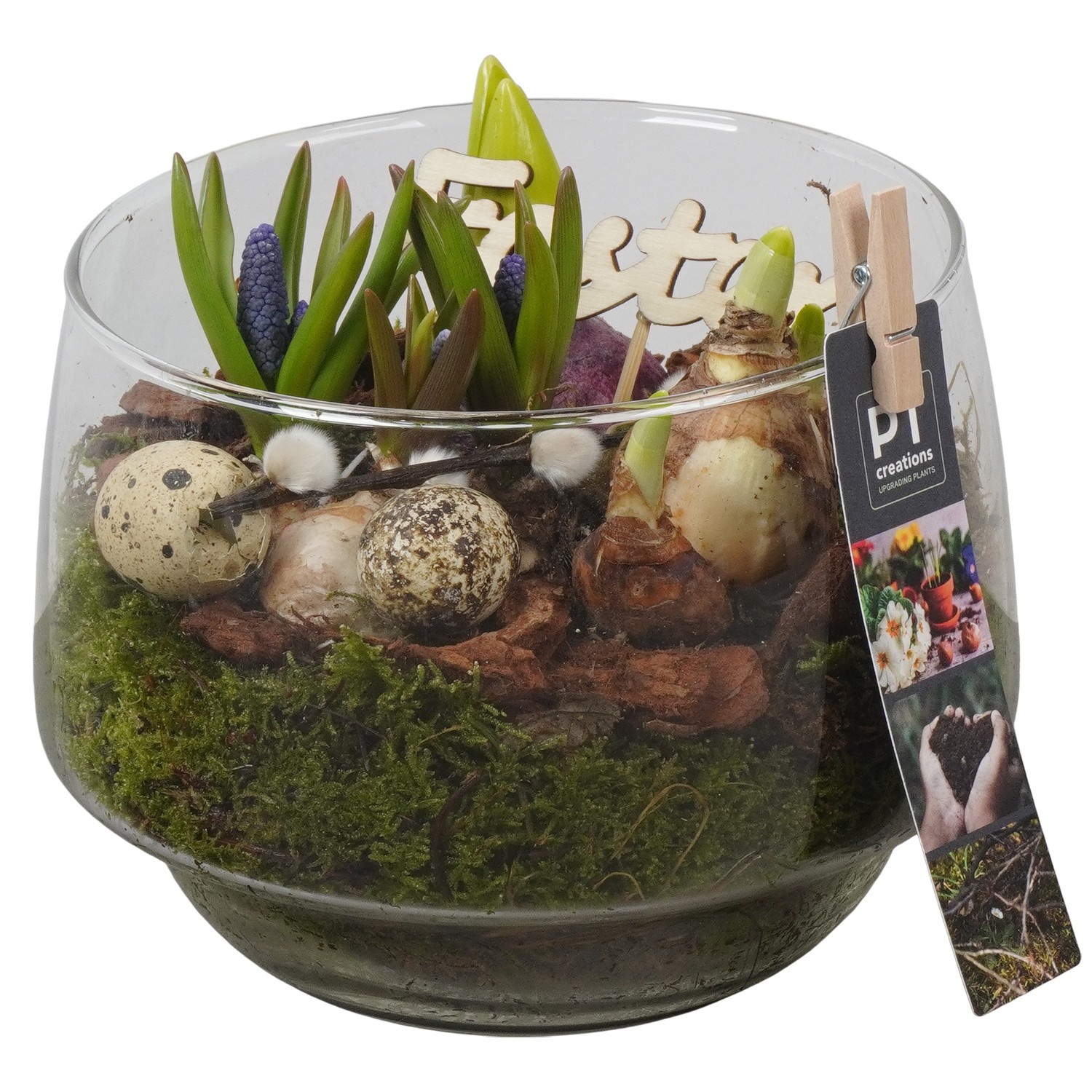 PTBMP5748 Arrangement Easter Bulbs Mix in glazen vaas, D 17