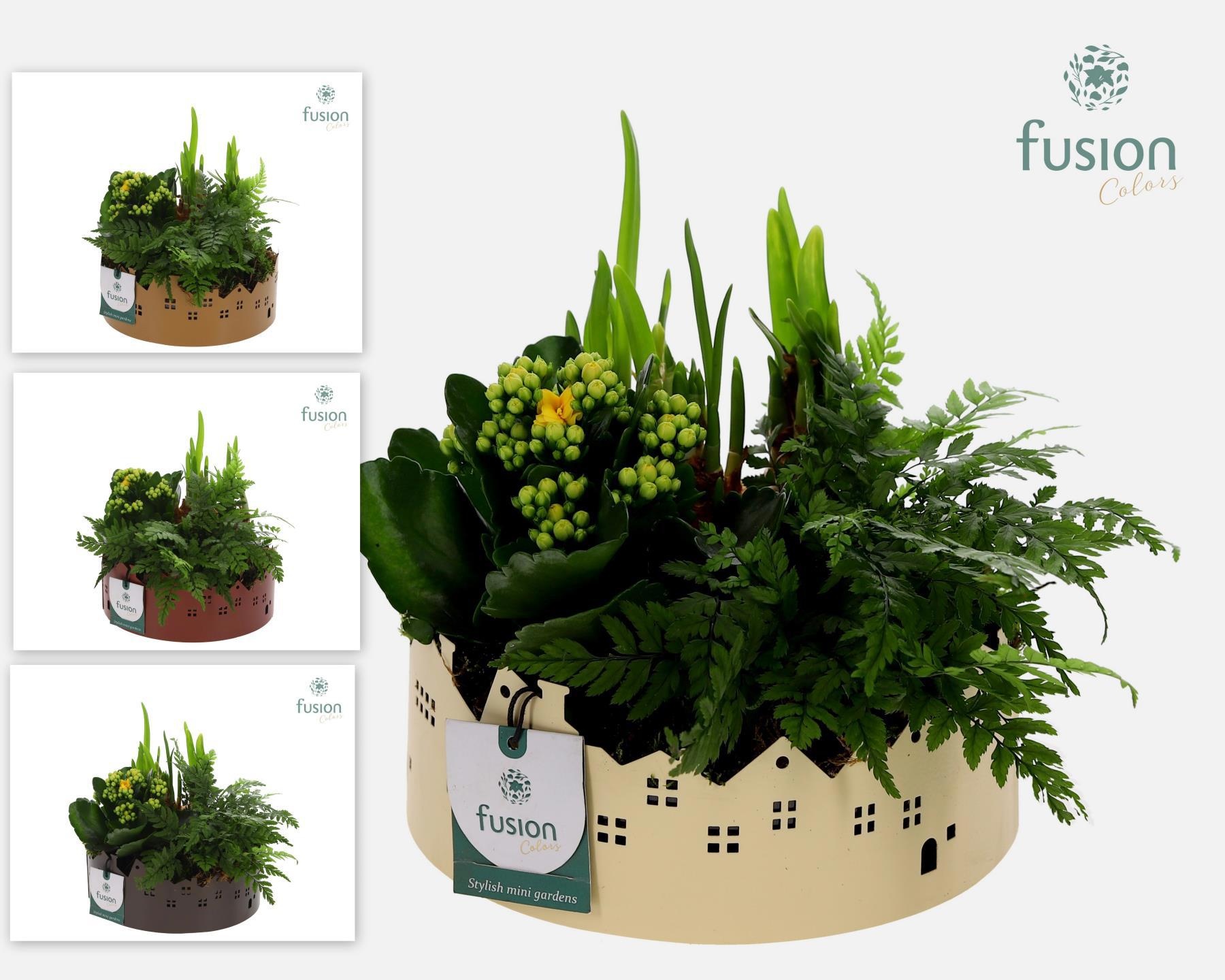 Zinken schaal Huisjes Medium met Voorjaar arrangement, D 19