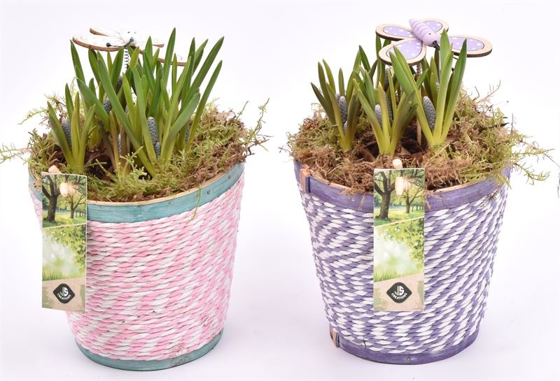 Hout pot paars/roze mix 13cm, D 13