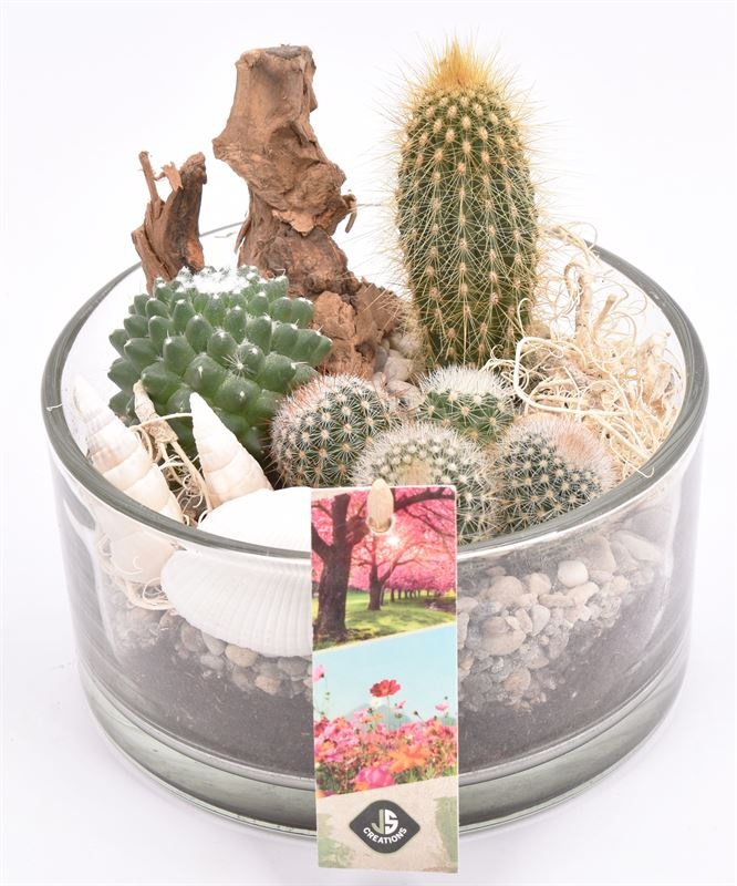 Glas schaal 15cm, D 15