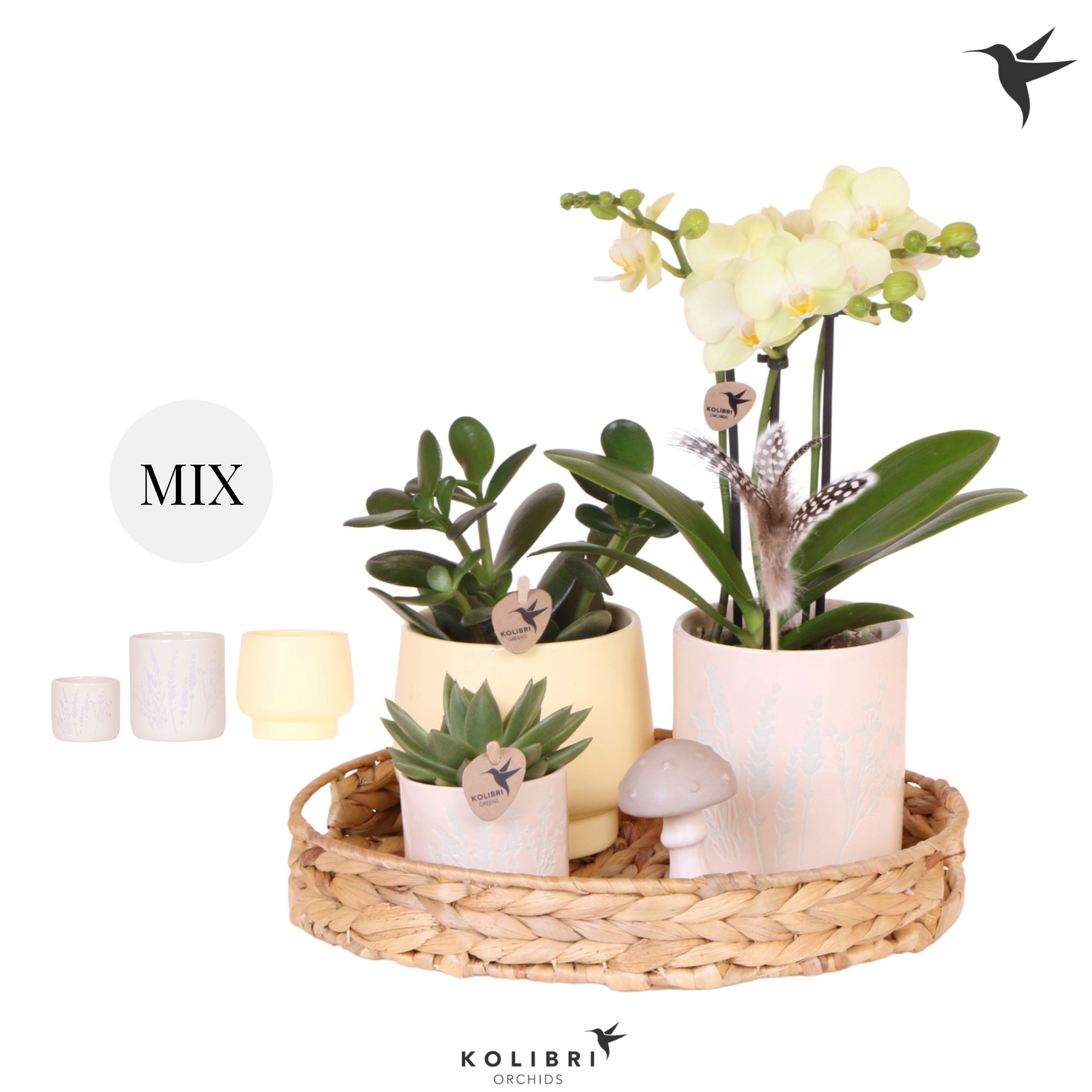 Kolibri Gift Set Easter, D 30