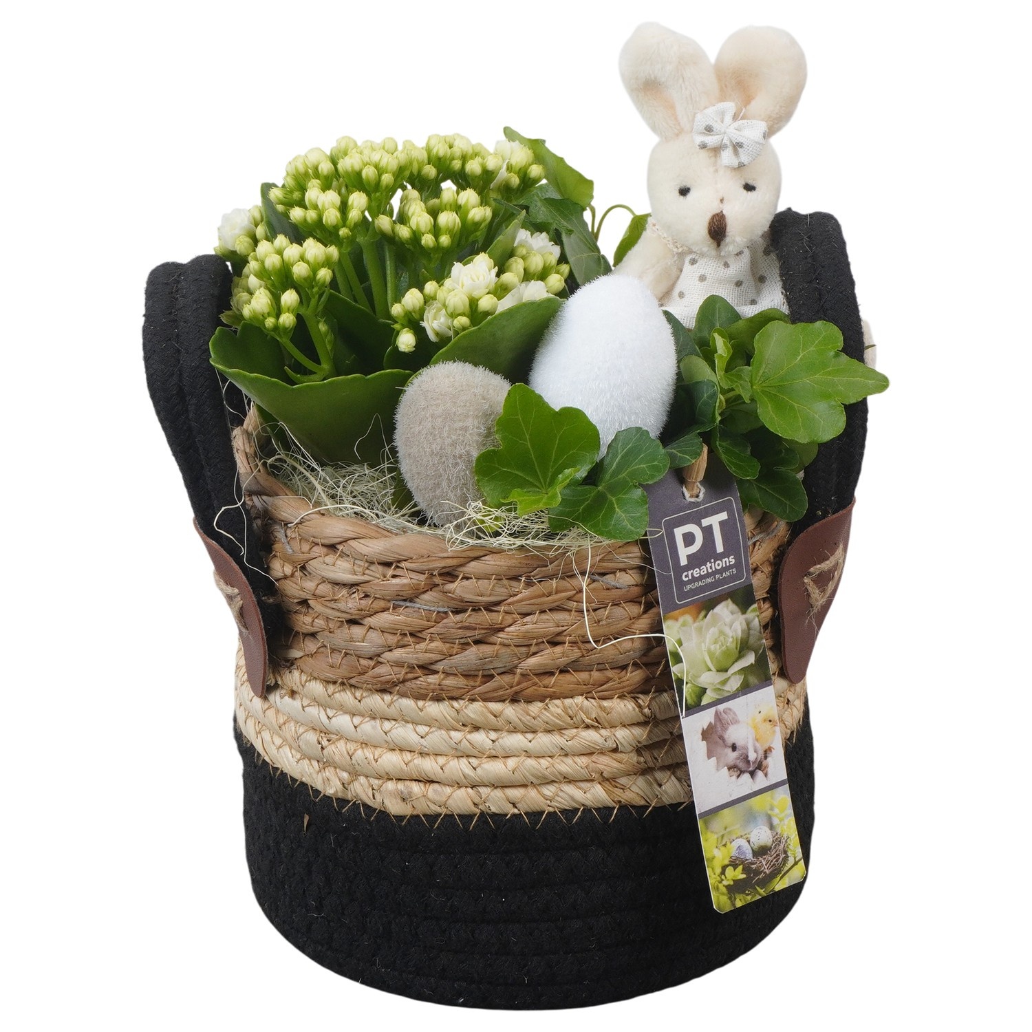 PTPB6555 Arrangement Easter in rieten mand, D 13