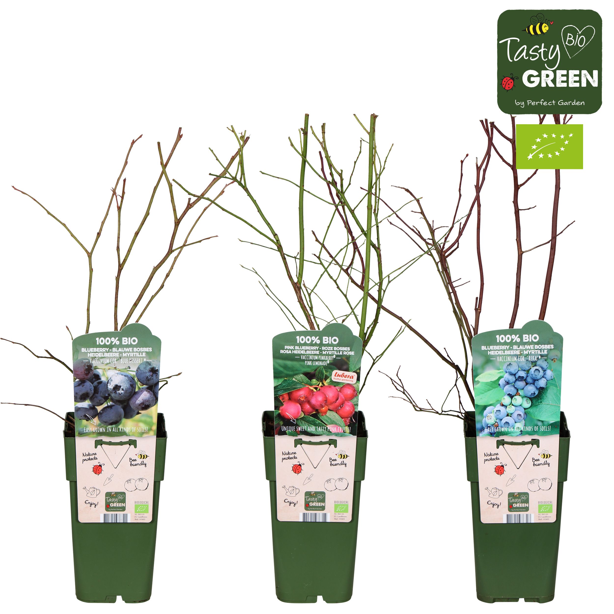 Vaccinium mix laag bio P15, D 15