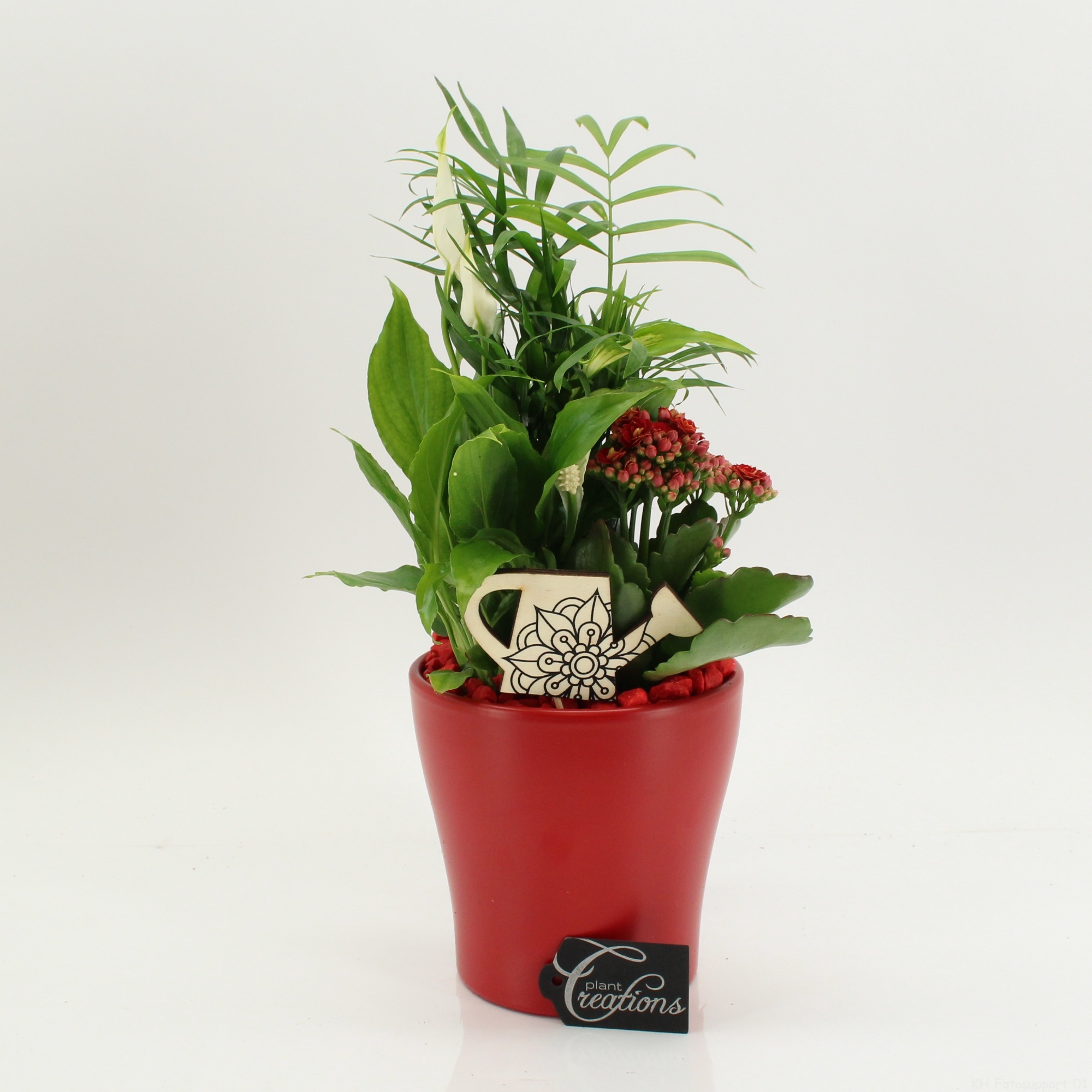 FDCR-2608R Basic Fundamentals, D 14