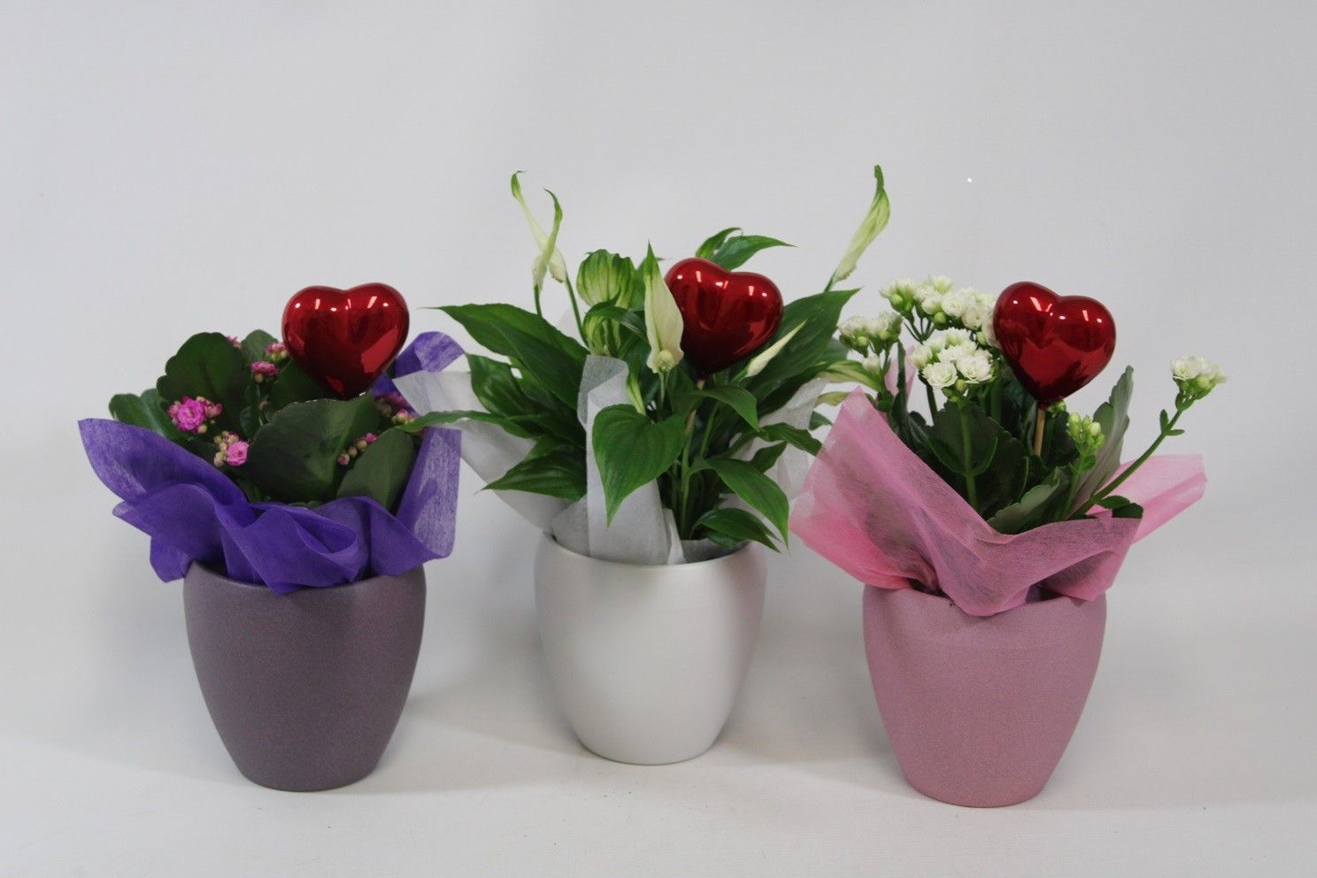 Bloeimix in structuur pot met bijsteker en doek, mix in overleg (ook in monocultuur), D 12