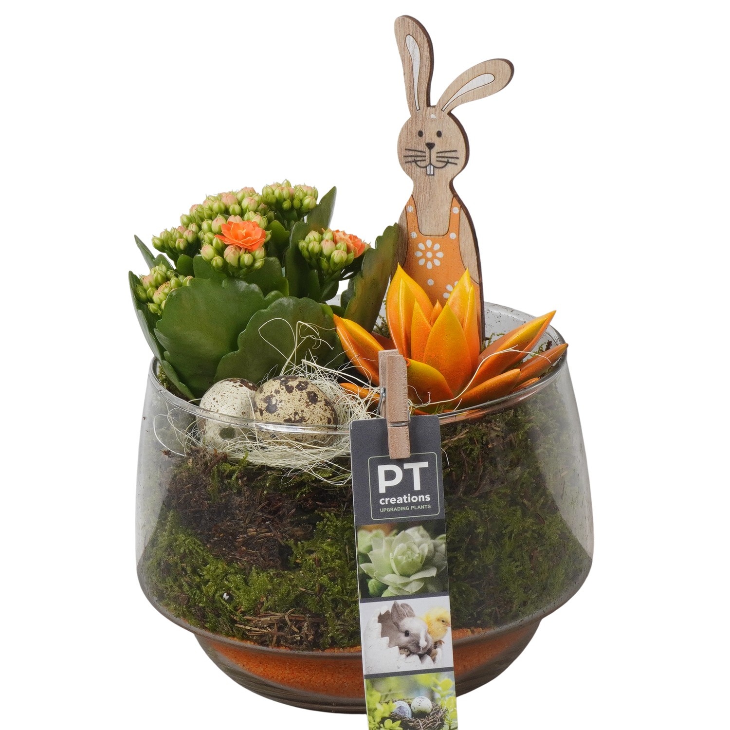 PTPG9381 Arrangement Easter in glas vaas, D 17