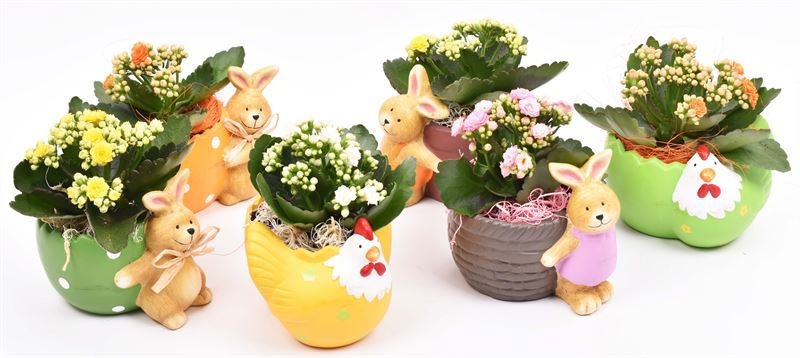 Keramiek haasmix 11-15cm, D 15