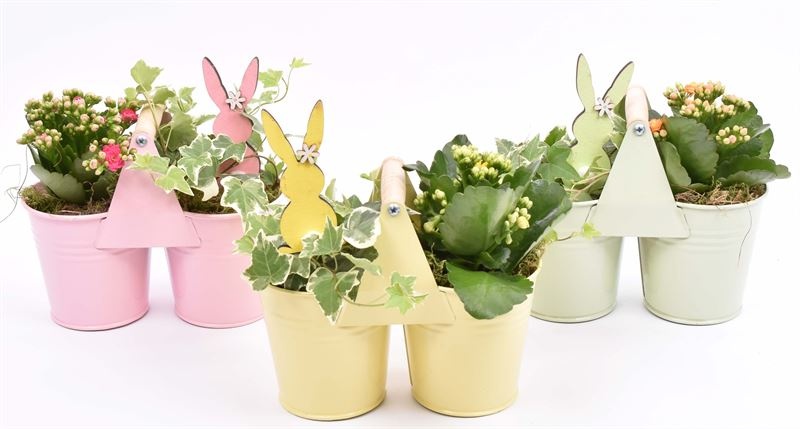 Zink duopot kl. mix 21x10cm, D 21