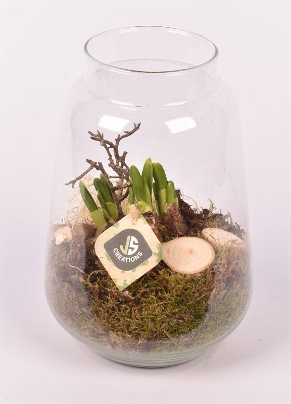 Glas cilinder Zef met hals 16cm, D 16