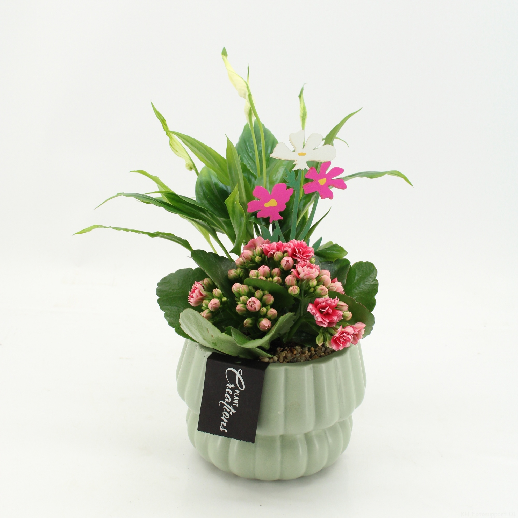 ENMD-2634 English Mother's Day, D 14