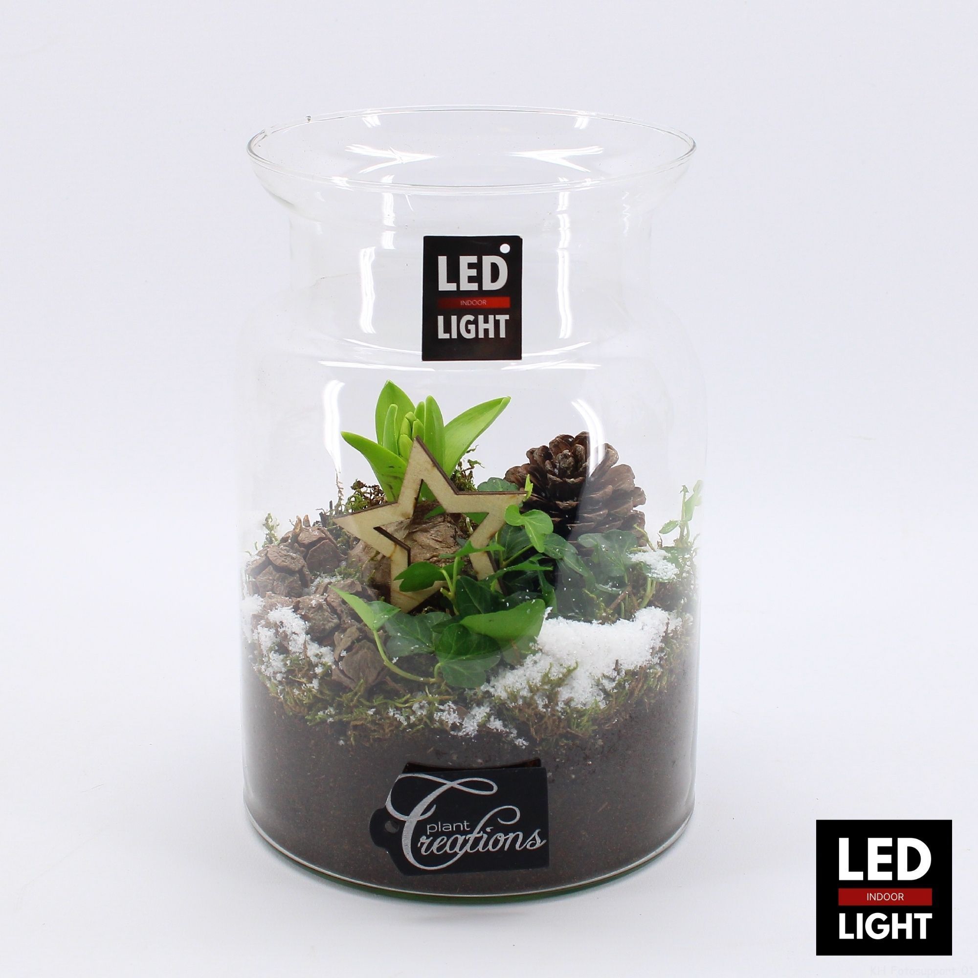 HYCXM-2514LED Hyacint Kerst, D 17 cm