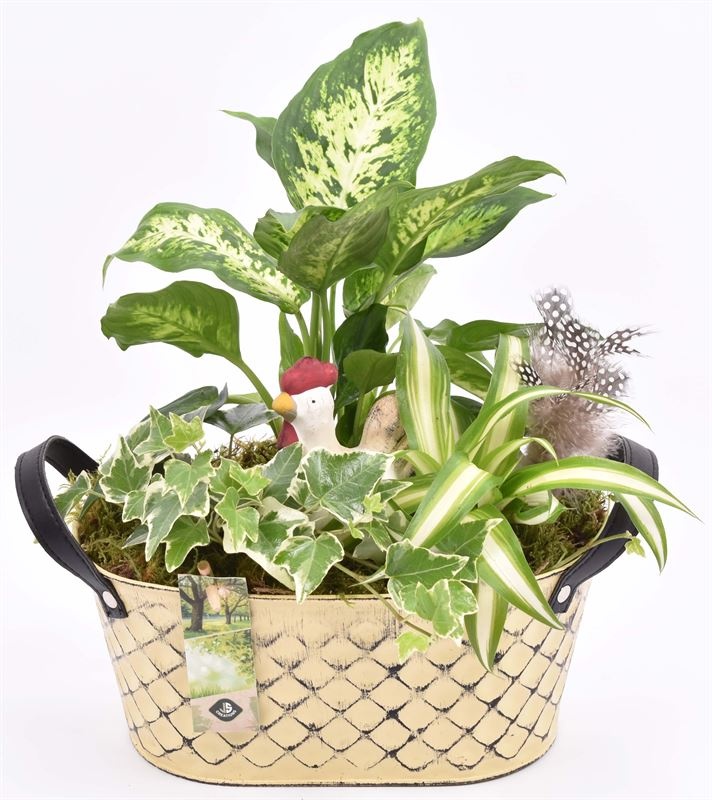 Zink ovaal met leer handvat 24x15cm, D 24