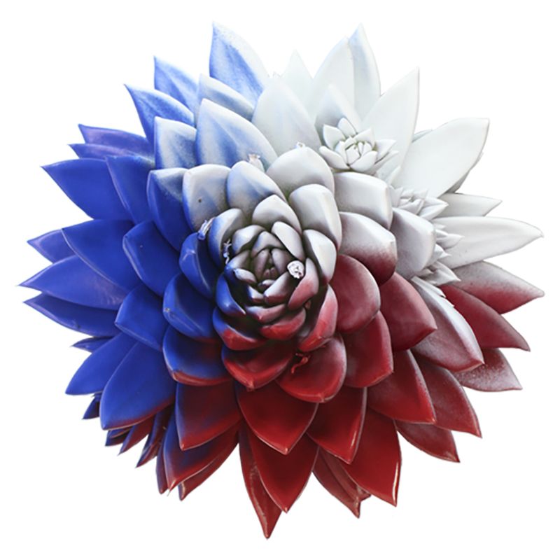 Miranda coloured flag Czech Republic, D 10,5