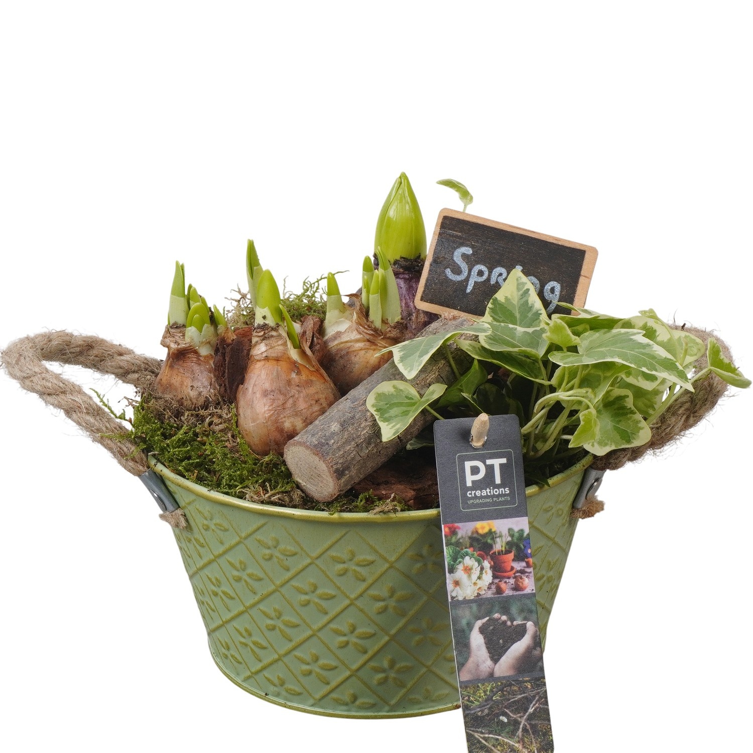 PTBM3752 Arrangement Flower Bulbs Mix in metalen pot, D 18