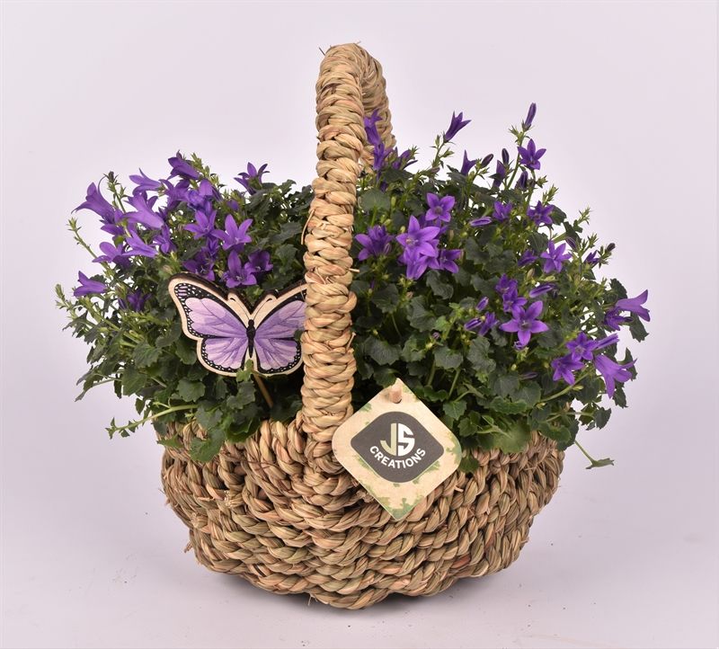 Hengselmand ovaal 20x15cm, D 21