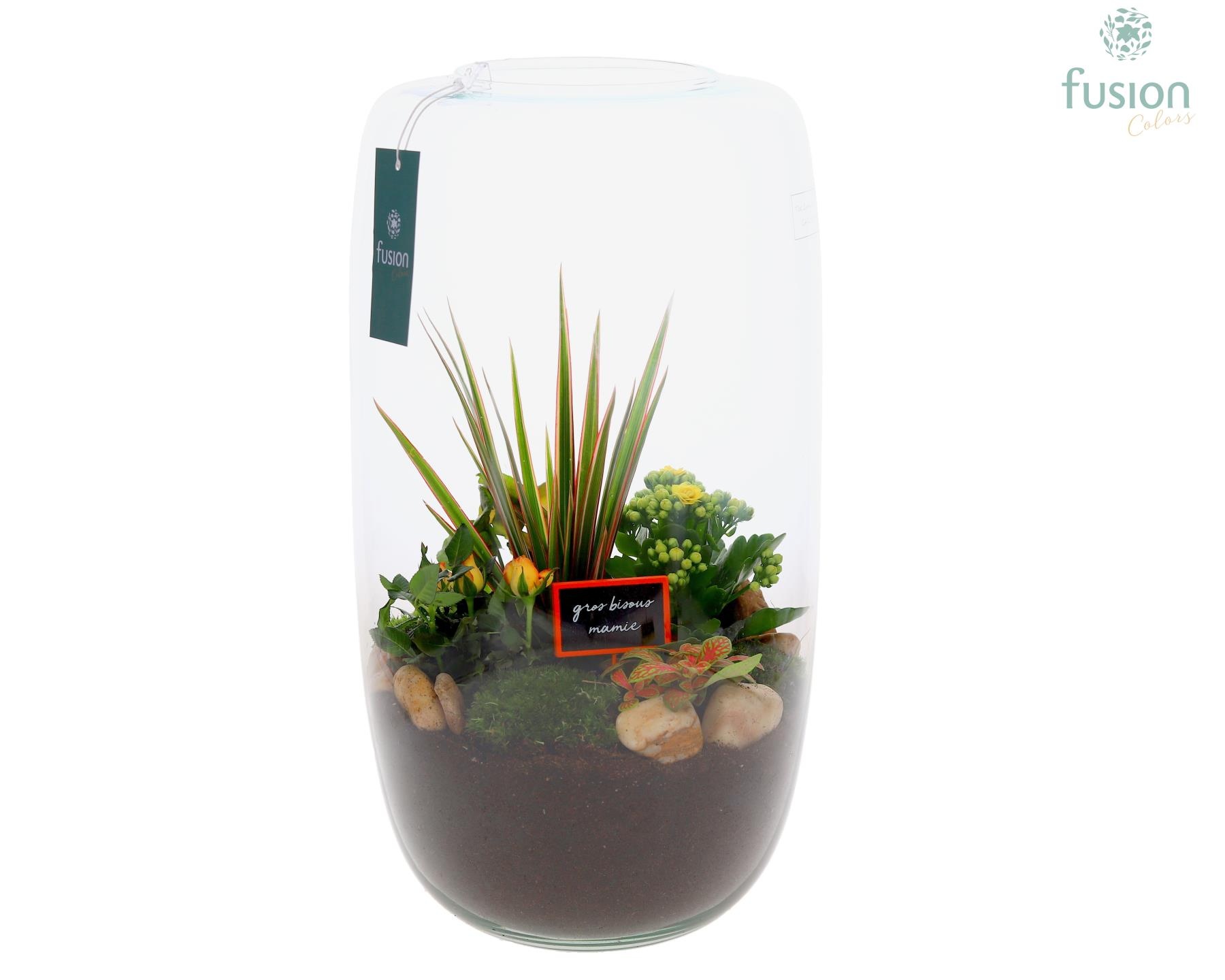 Green Bottle Isabella XXLarge Grootmoederdag met arrangement, D 23