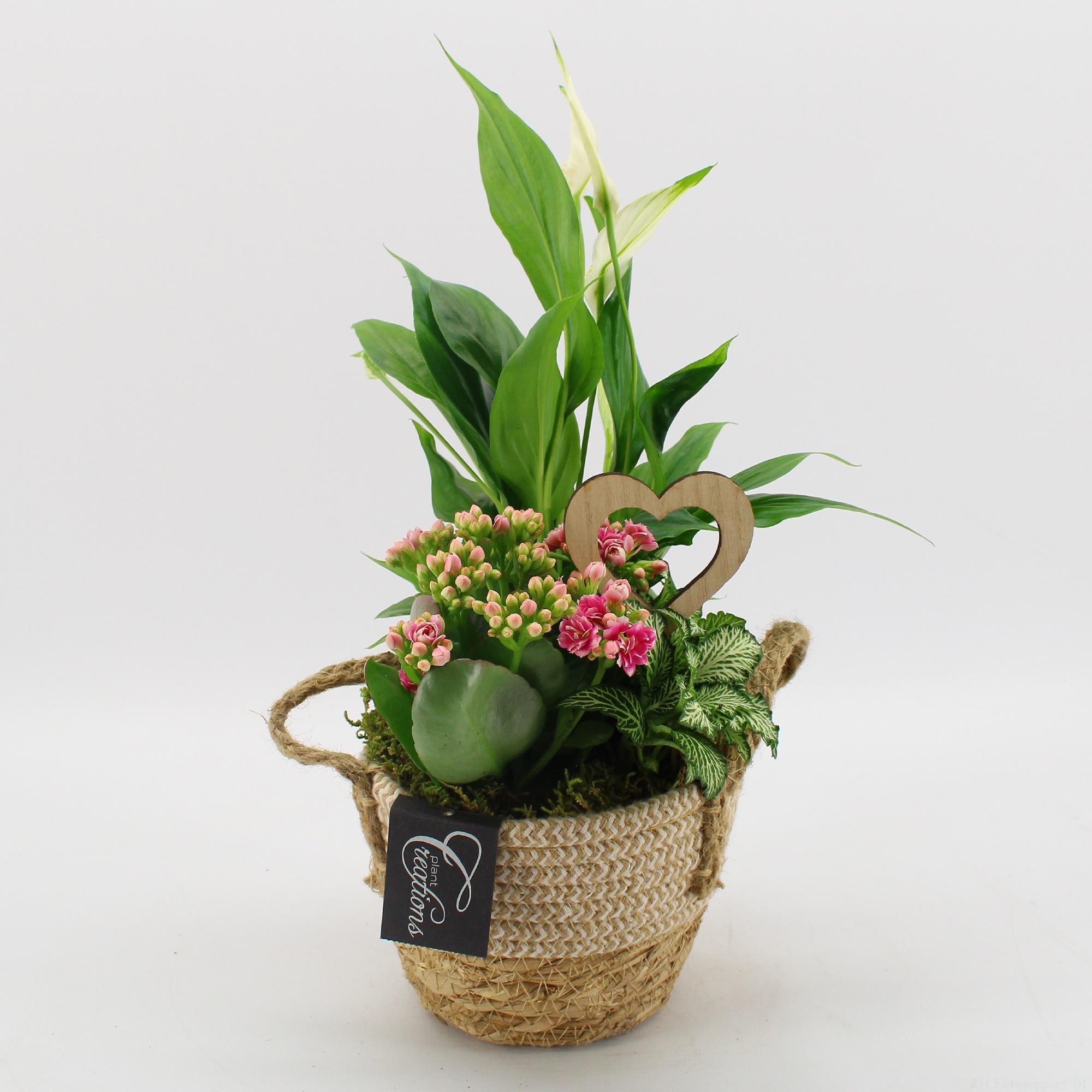 FDRM-2617RZ Romantic Fundamentals, D 14