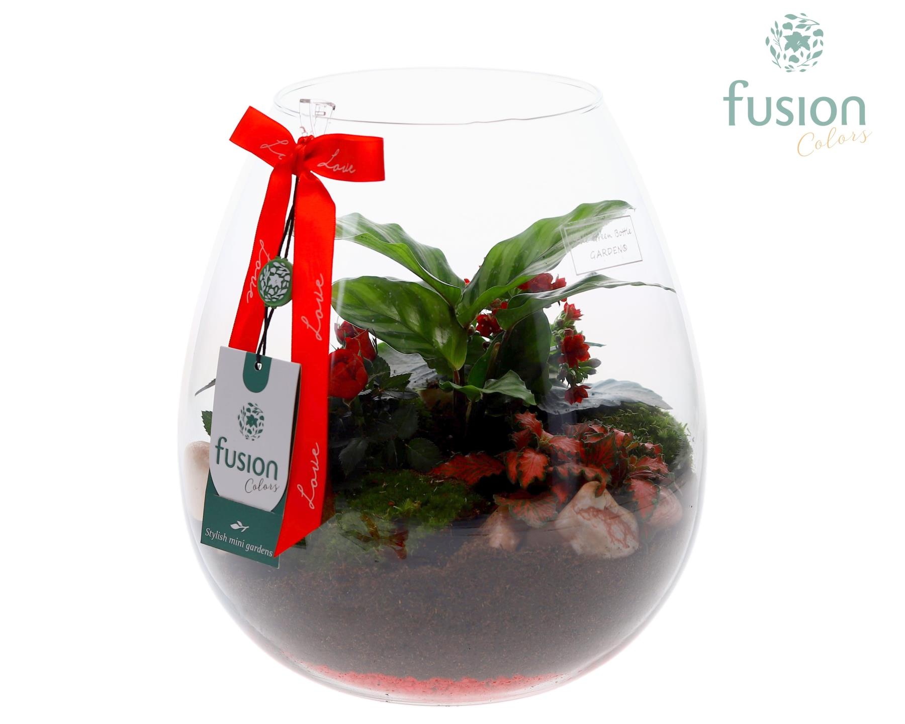 Green Bottle Abby Large Love met arrangement, D 24