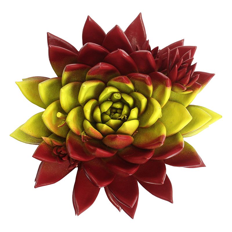 Miranda coloured flag Spain, D 10,5