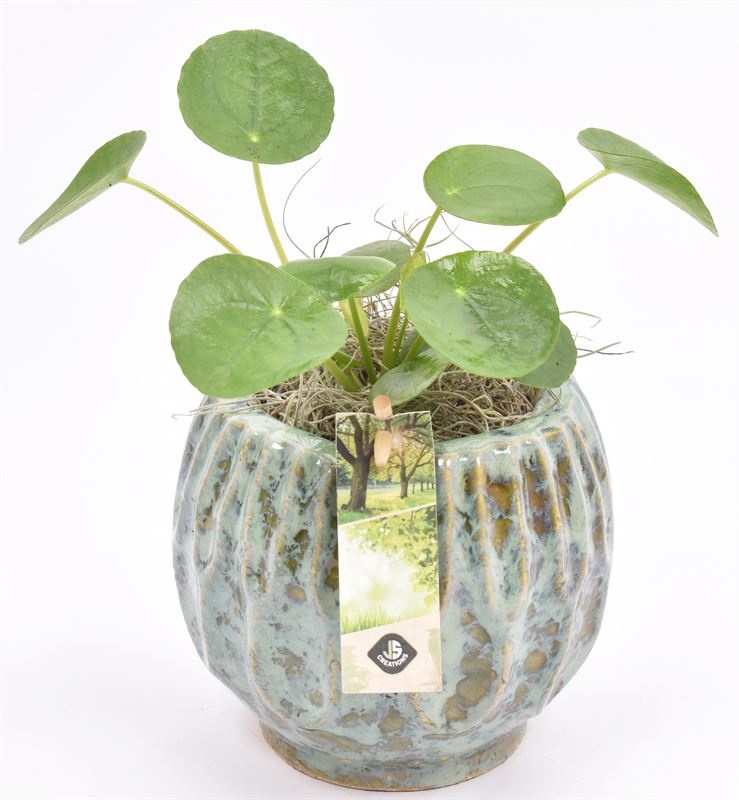 Keramiek pot gr/bl 12/14cm, D 14