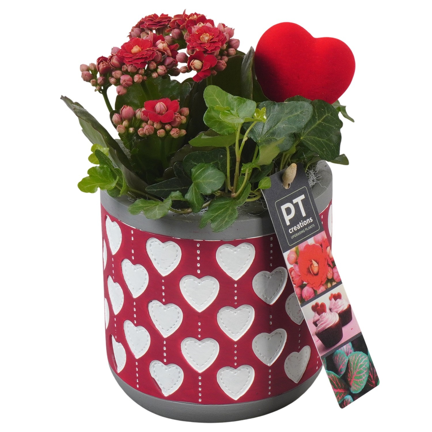 PTVMB2306 Arrangement Valentines-Mothersday in beton sierpot, D 11